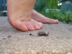 best of Snail crush barefoot