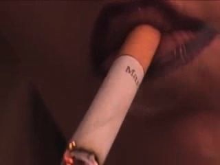 Dingo reccomend smoking close up