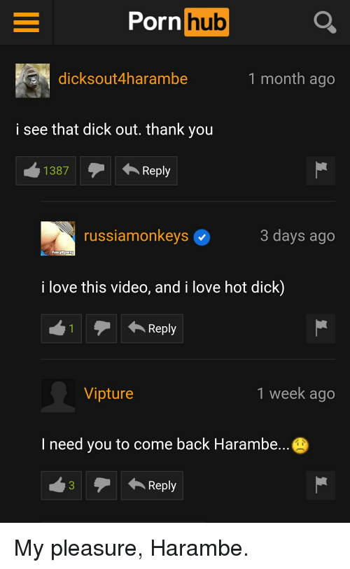 best of Out harambe dicks