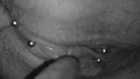best of Pierced clit licking