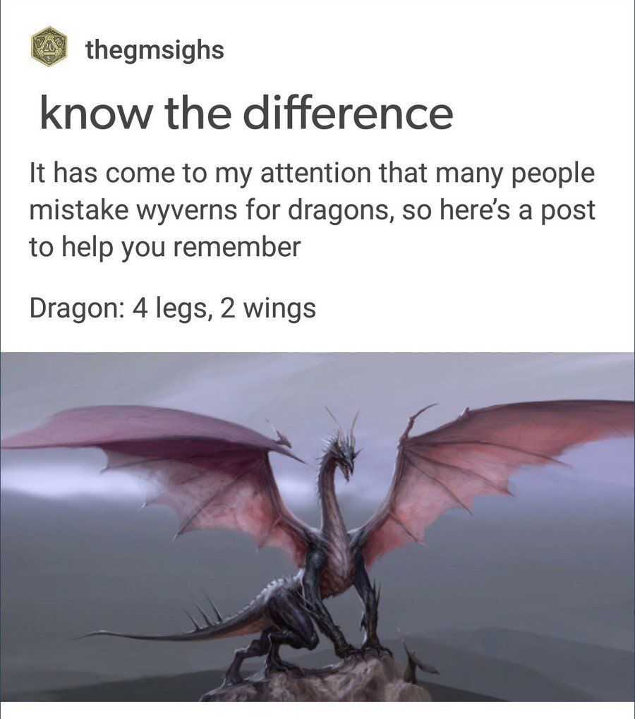 best of Dragons Asian mythology