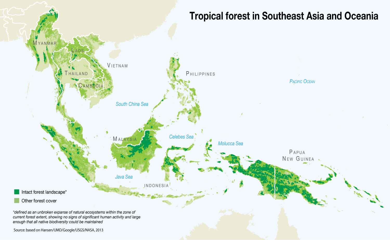 Soda P. recommend best of general Asian rainforests in