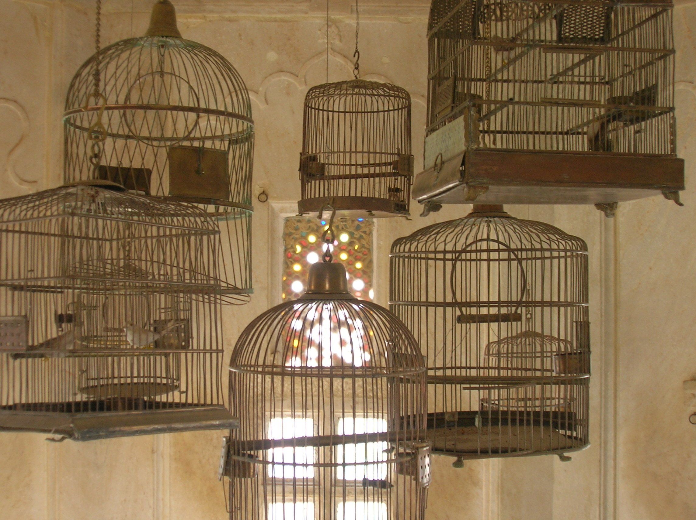 Asian carved bird cage