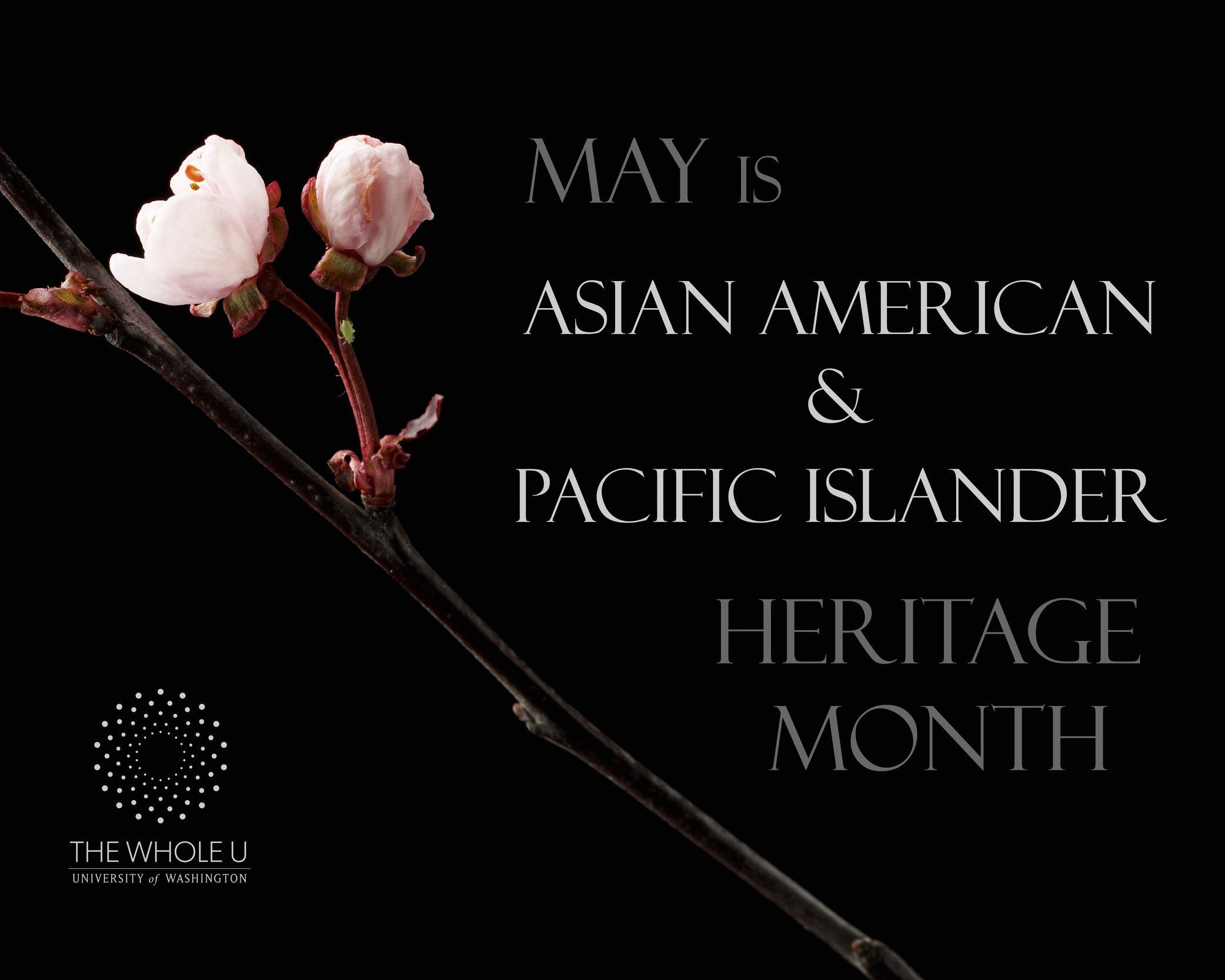 Jupiter reccomend Asian pacific american heritage