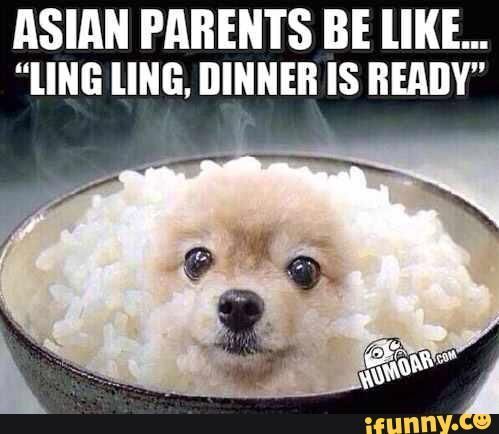best of Asian Racist jokes