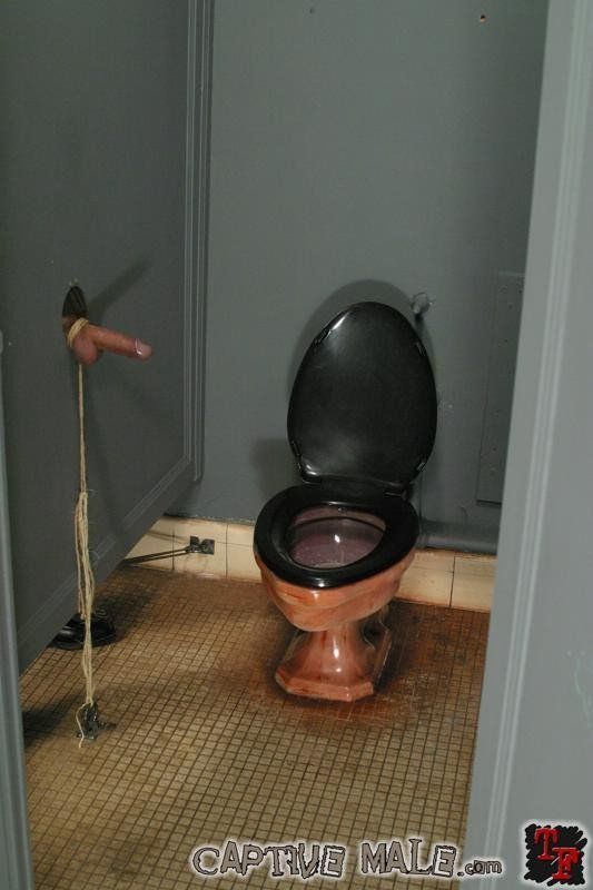 best of Toilet sissy