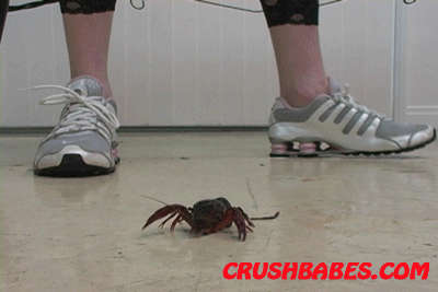 Snazz reccomend sneakers crush bug